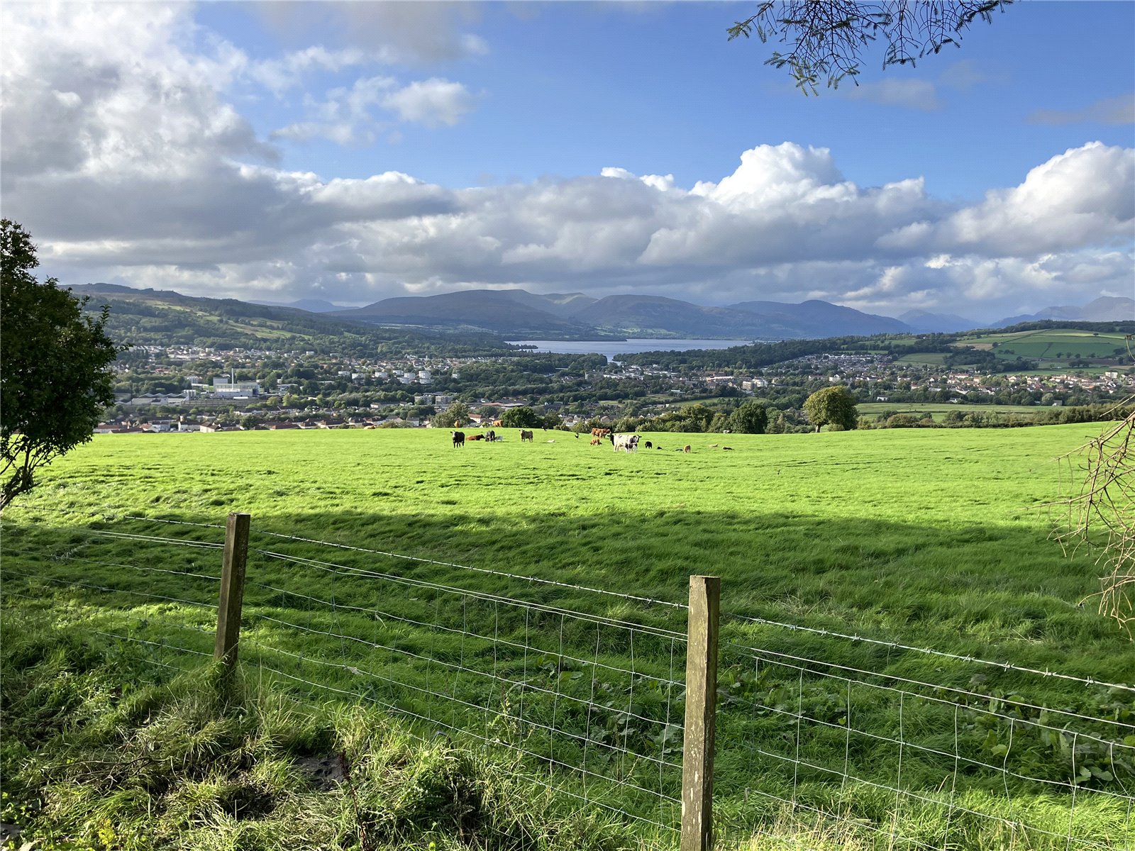 View To Loch Lomond