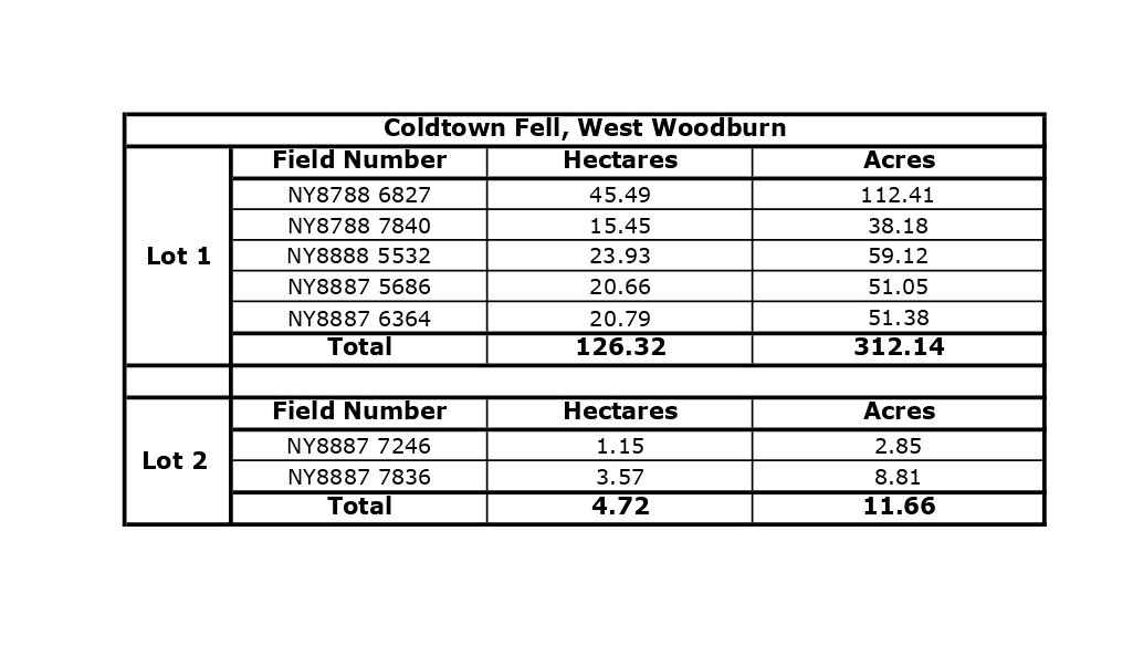 Field Schedule