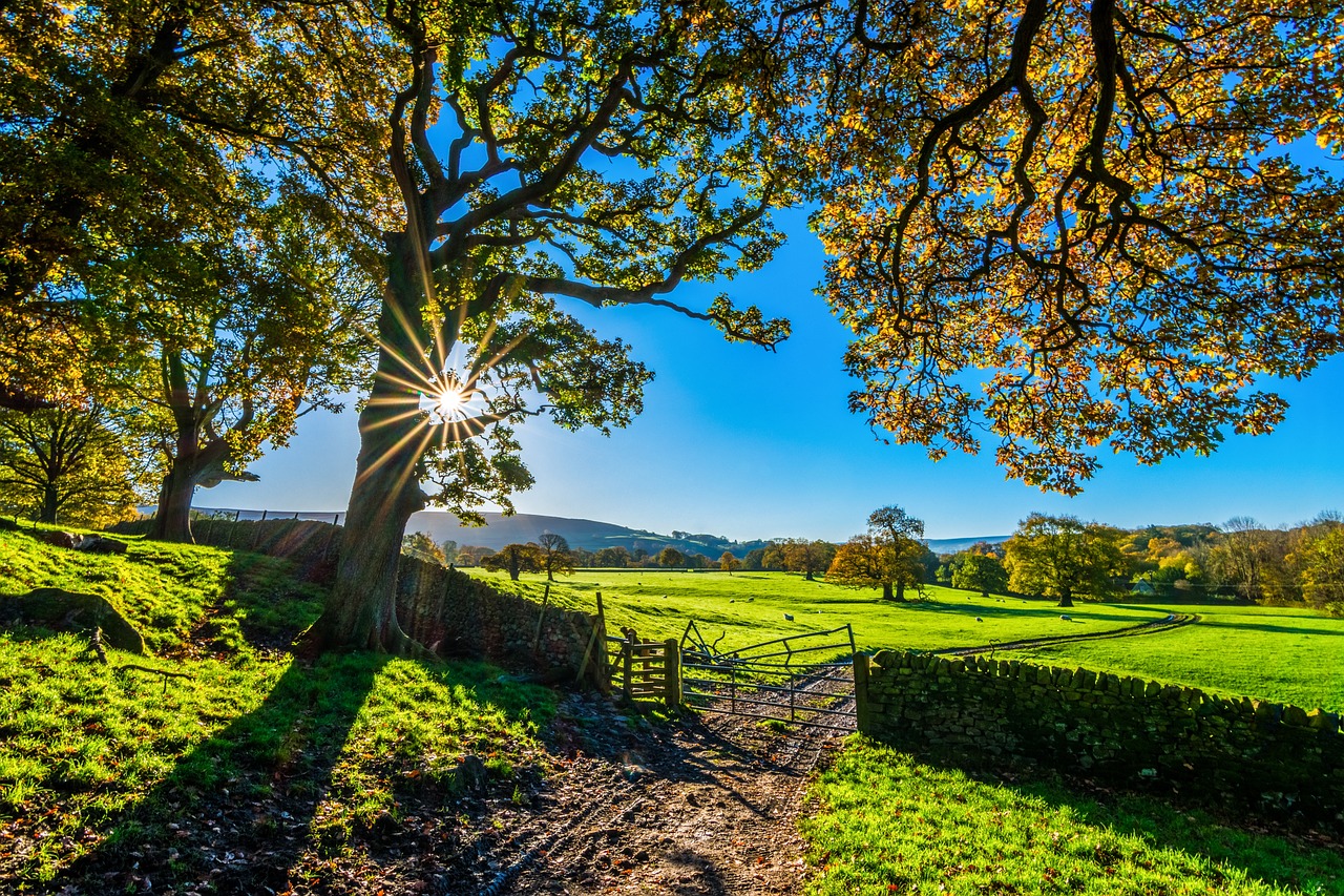 Natural Capital | Farming | Galbraith 