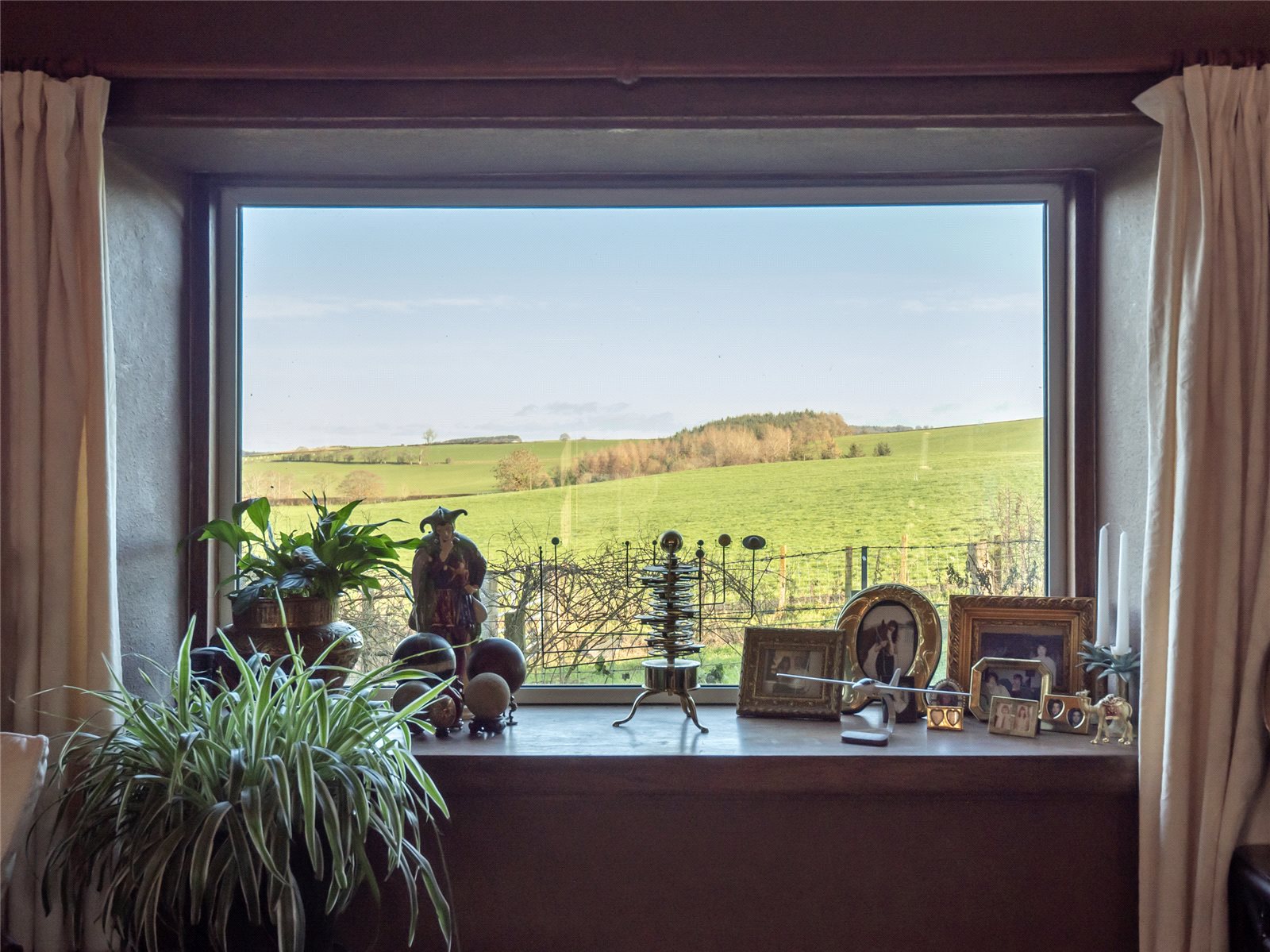 Living Room View