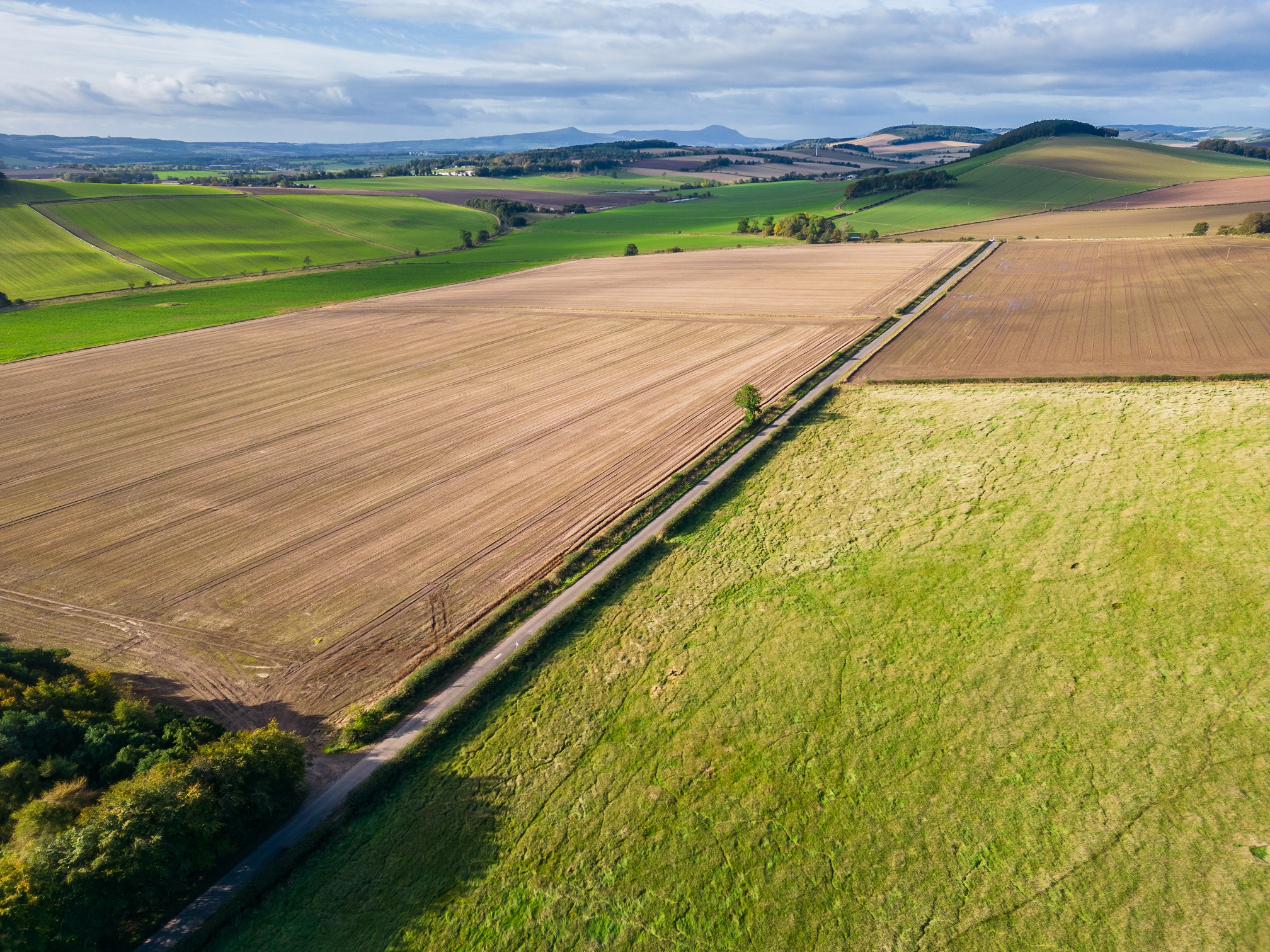 Denbrae Farm Land | Galbraith 