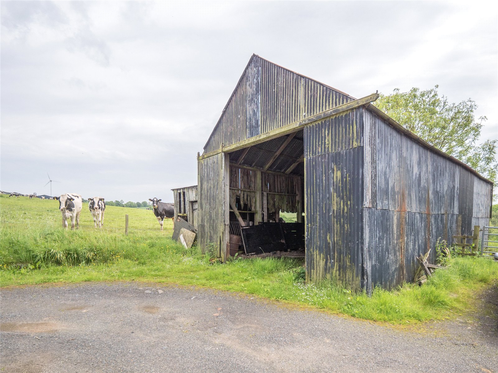 Hay Shed