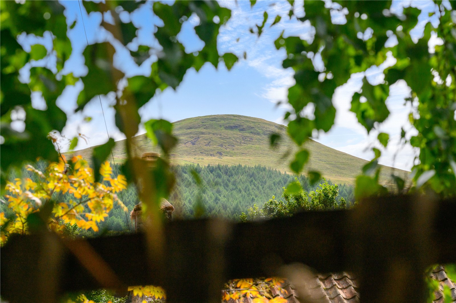 Falkland Hill