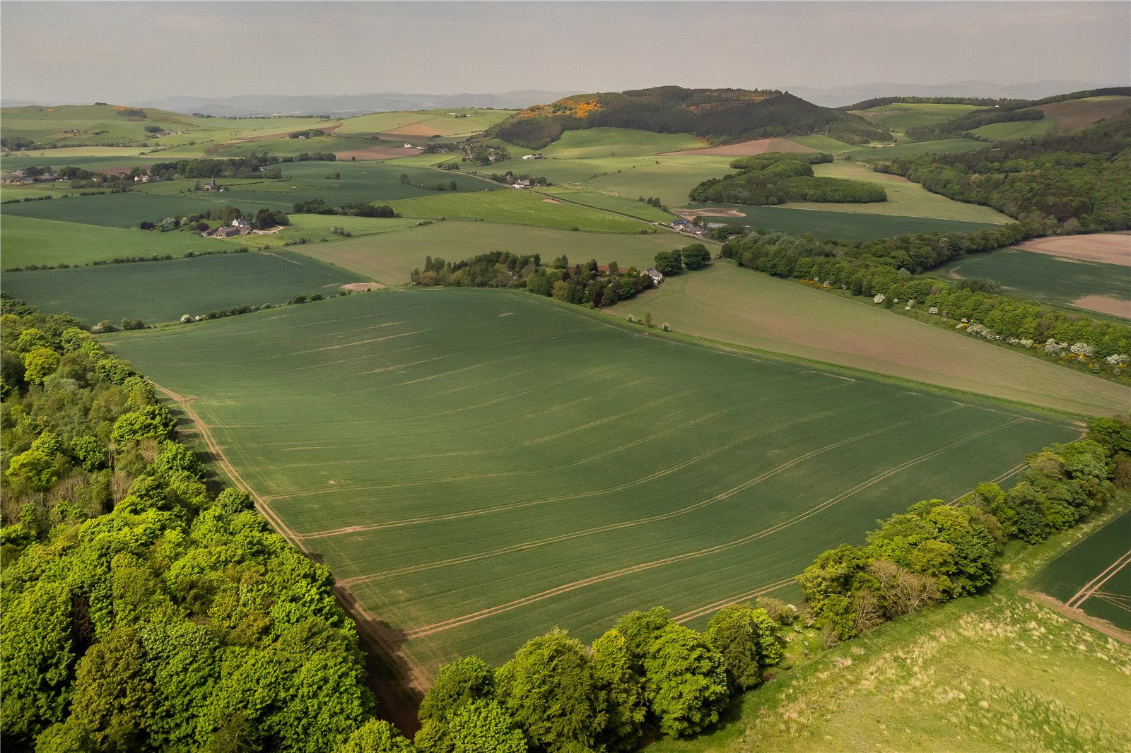 Ayton Farmland