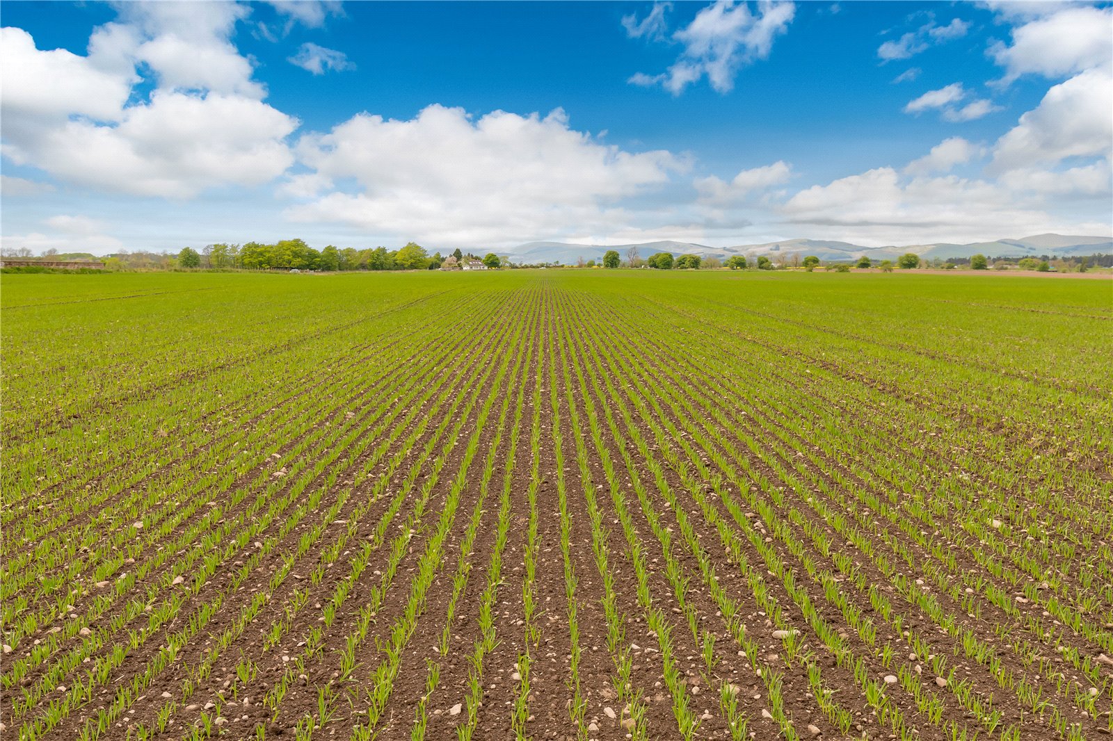 Land At Kinross