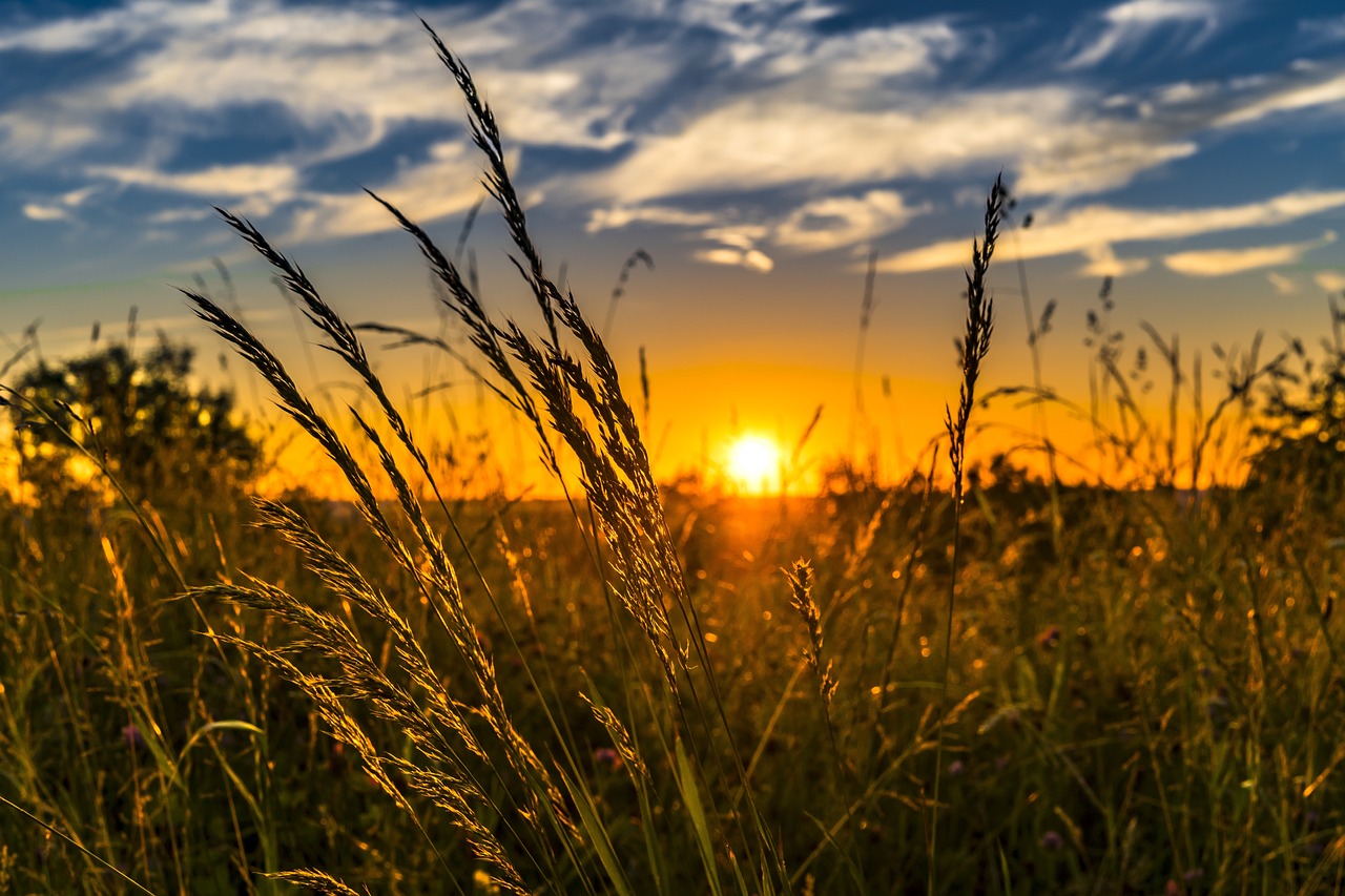 Natural Capital | Farming 