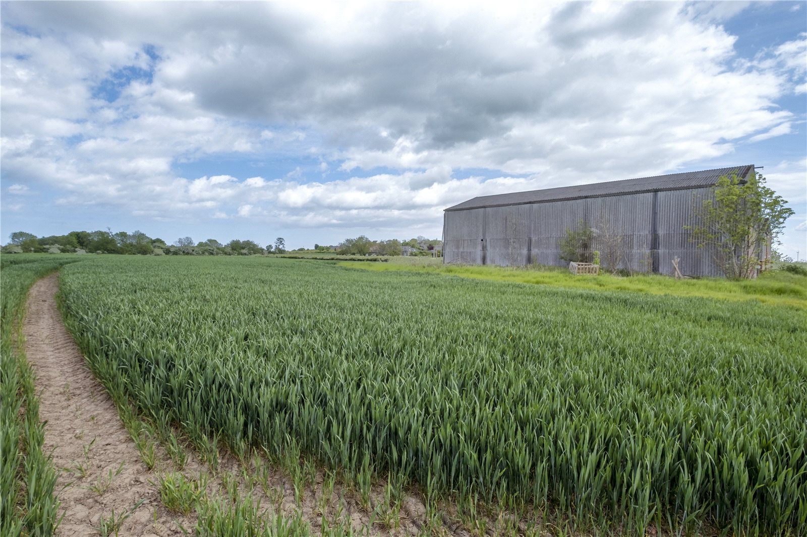 Land and Building