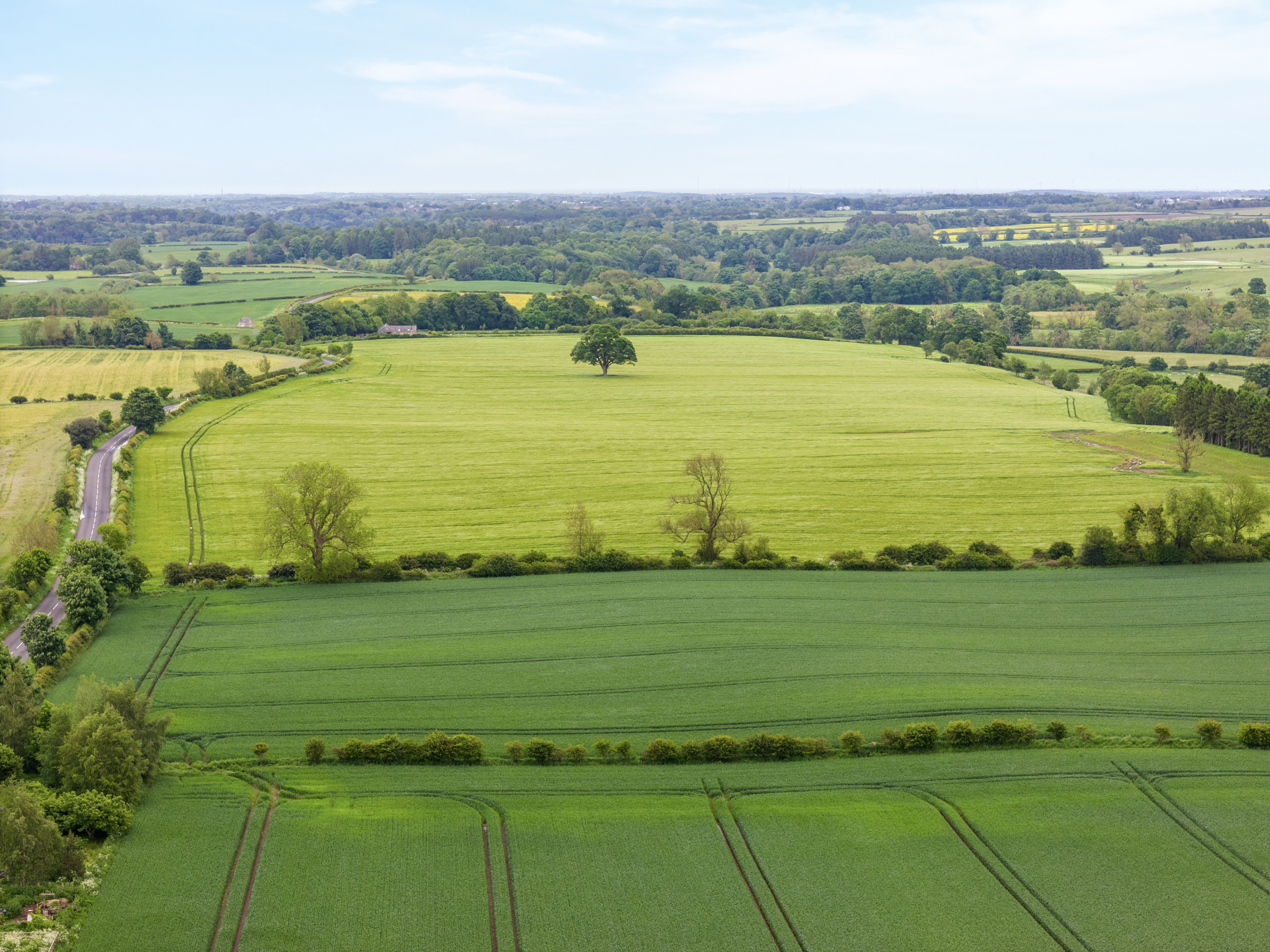 Land At Newton Red House | Galbraith 