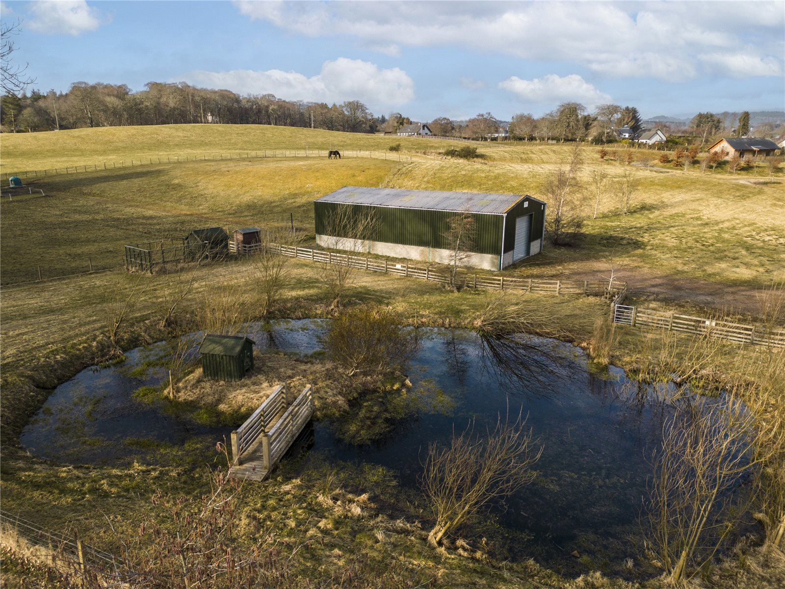 Shed and Pond