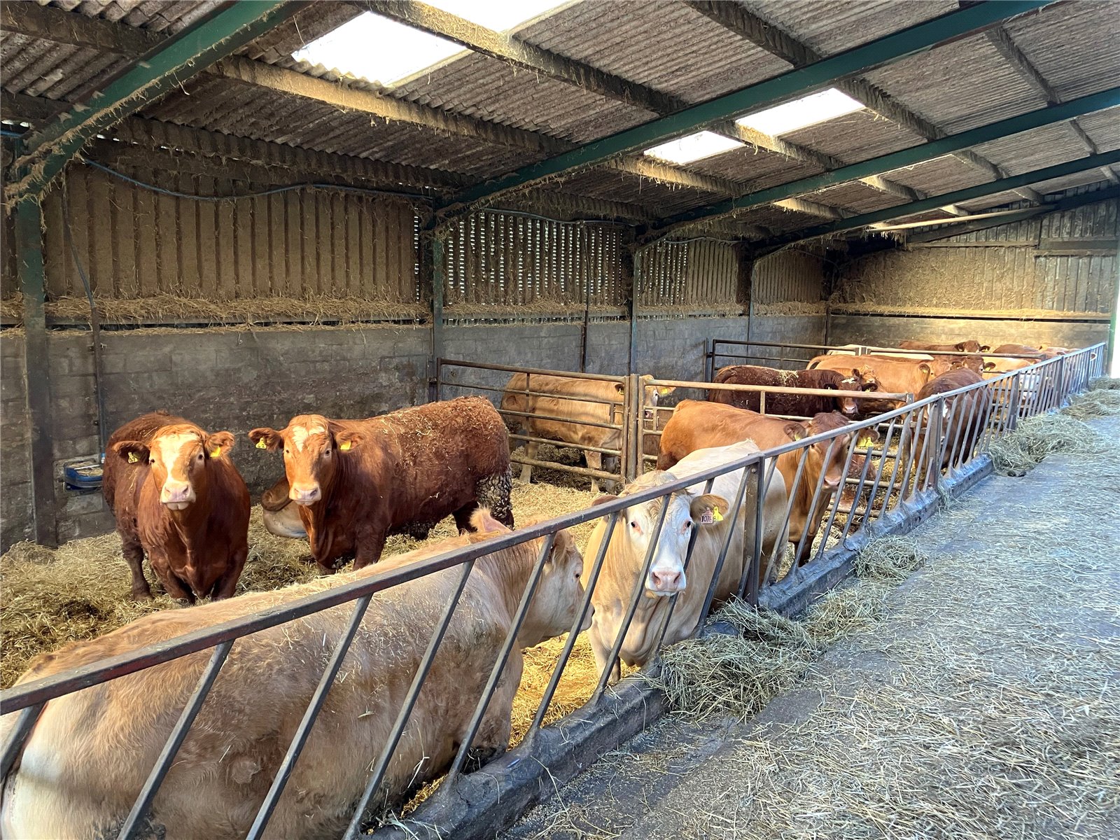 Farm Buildings