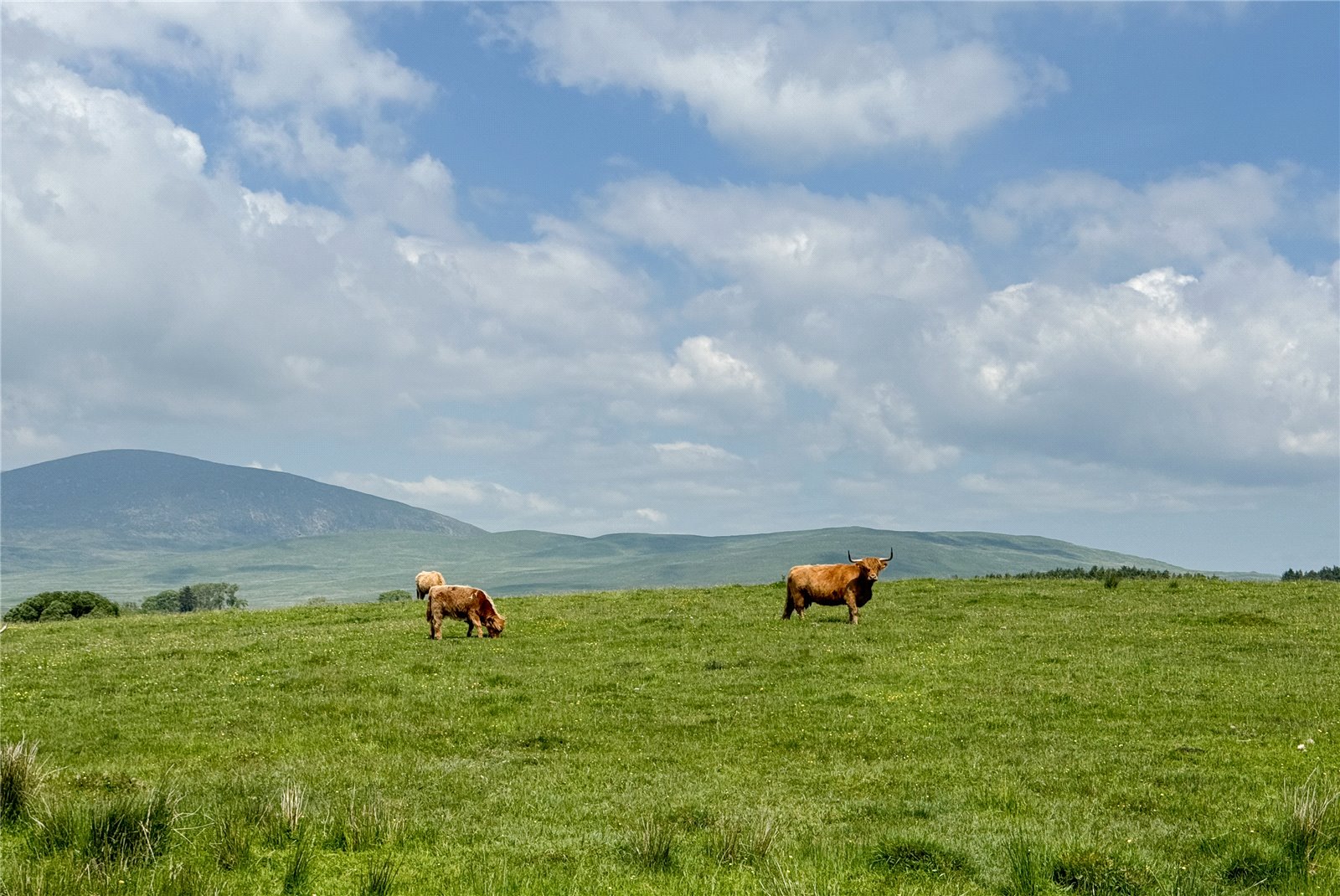 View Of Cairnsmore