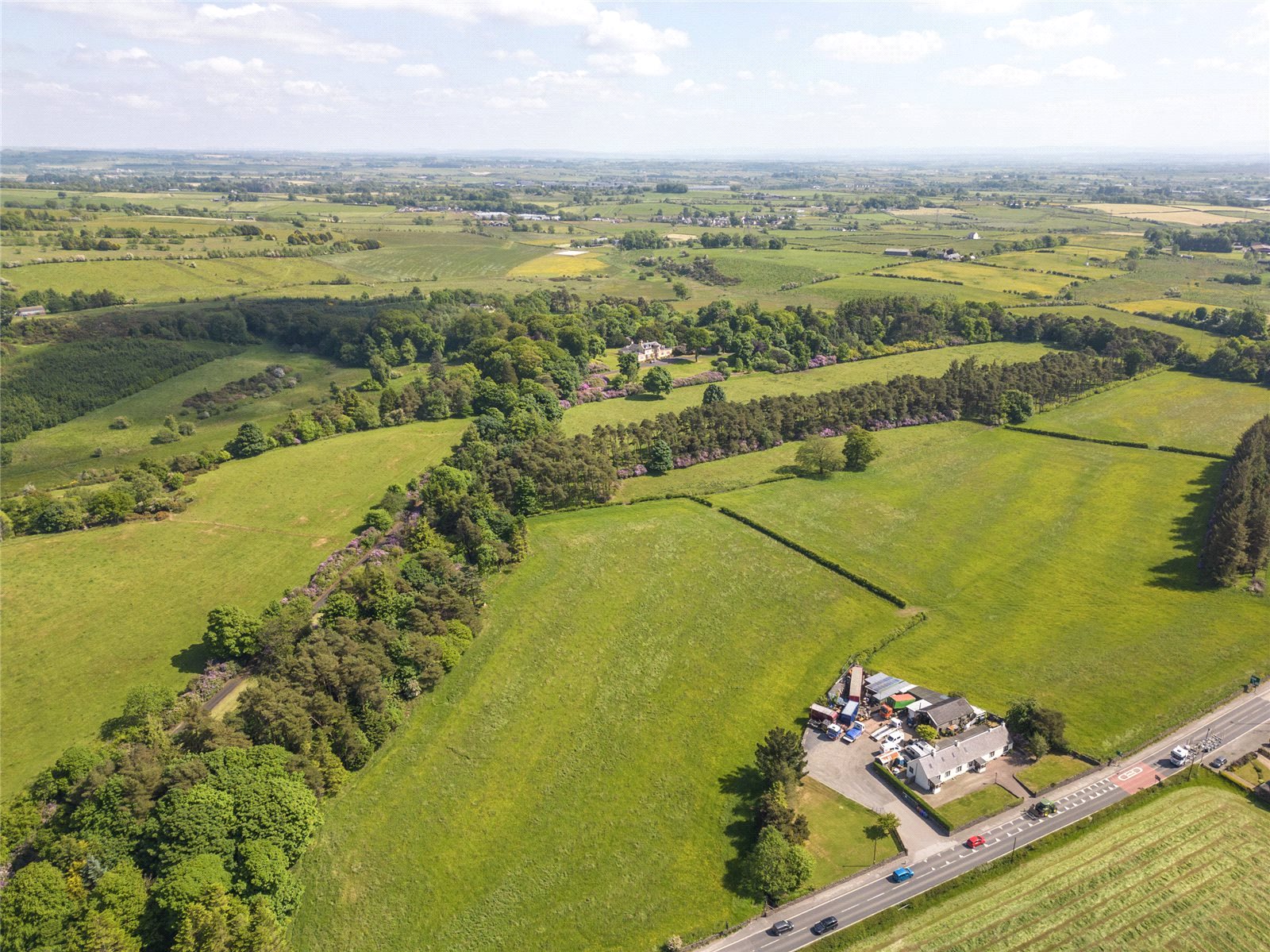 Aerial Photograph