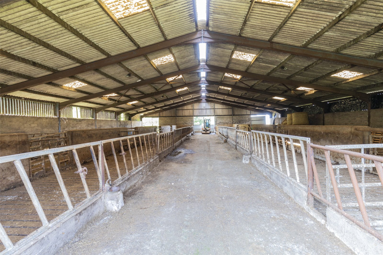 Cattle Court