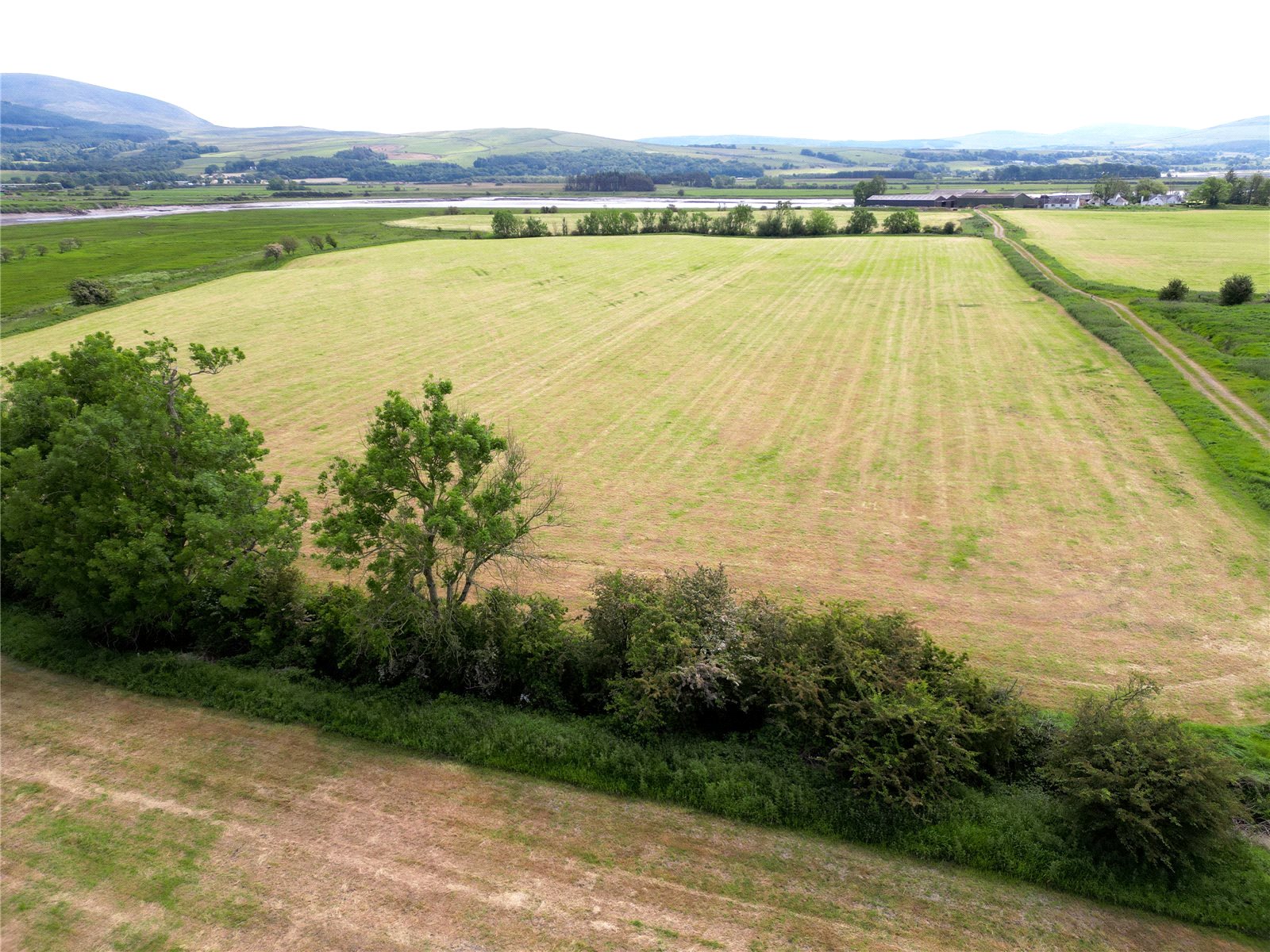 Silage Field