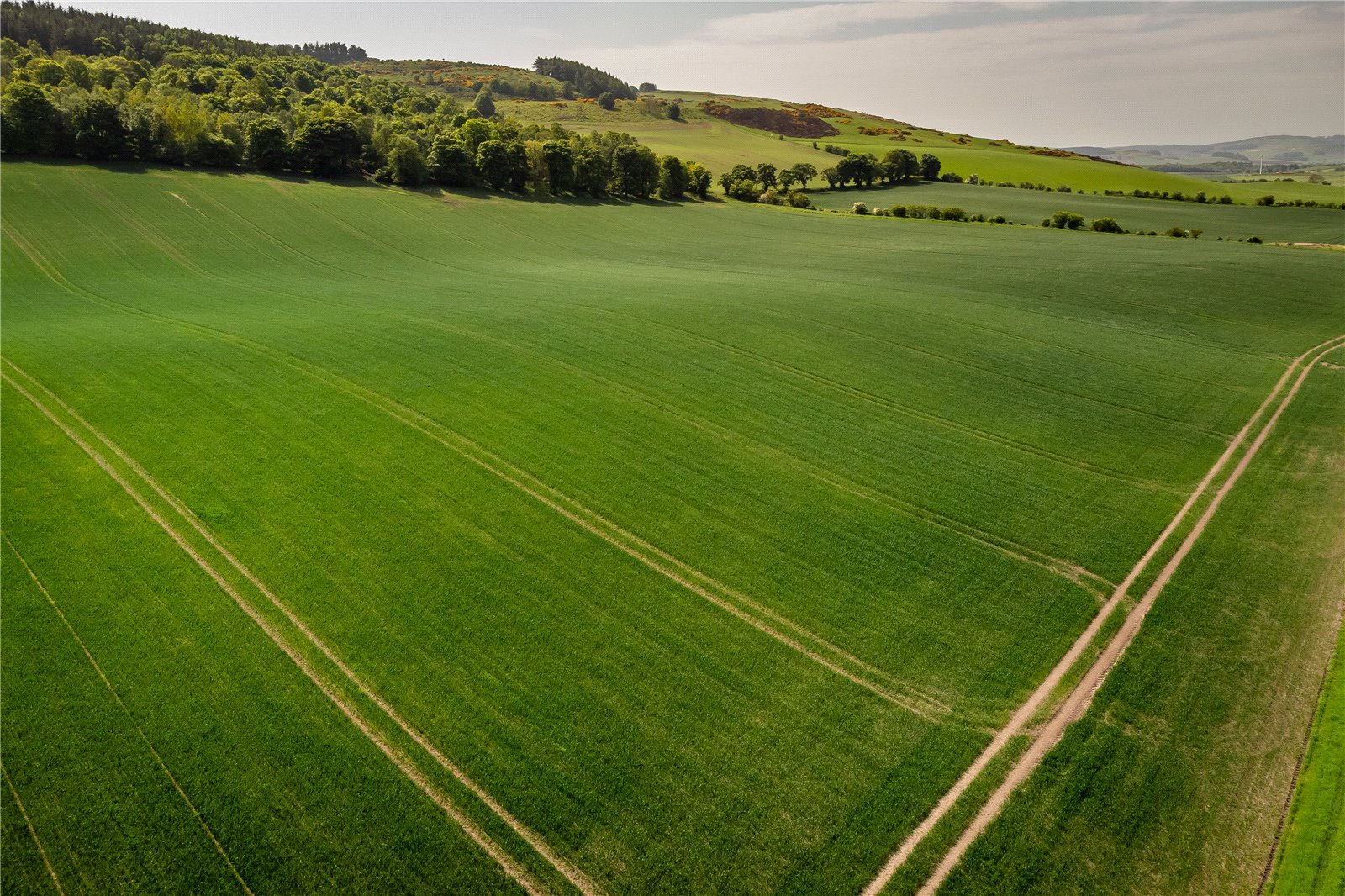 Ayton Farmland