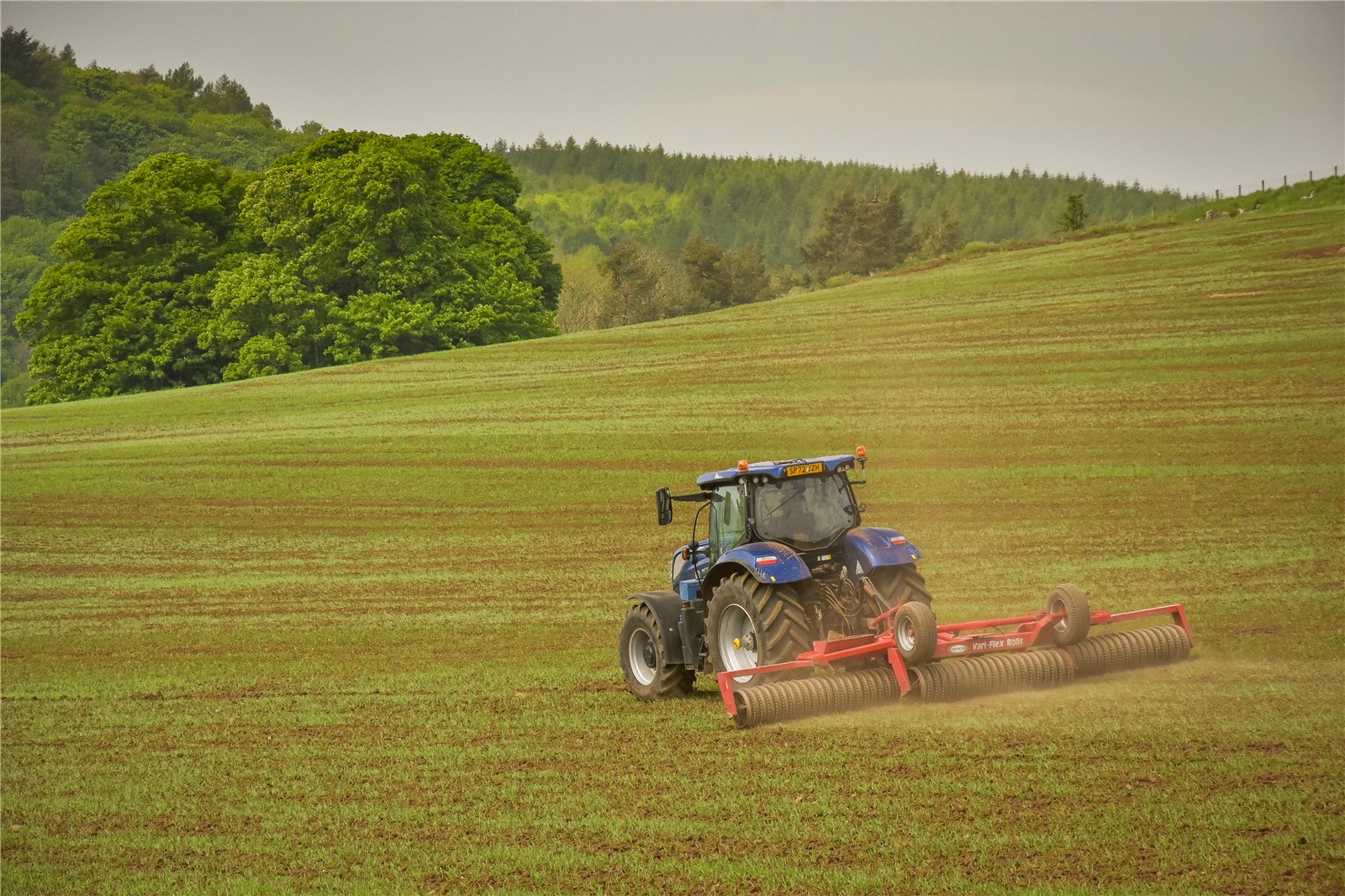 Ayton Farmland