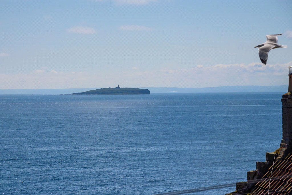 View Of Isle Of May