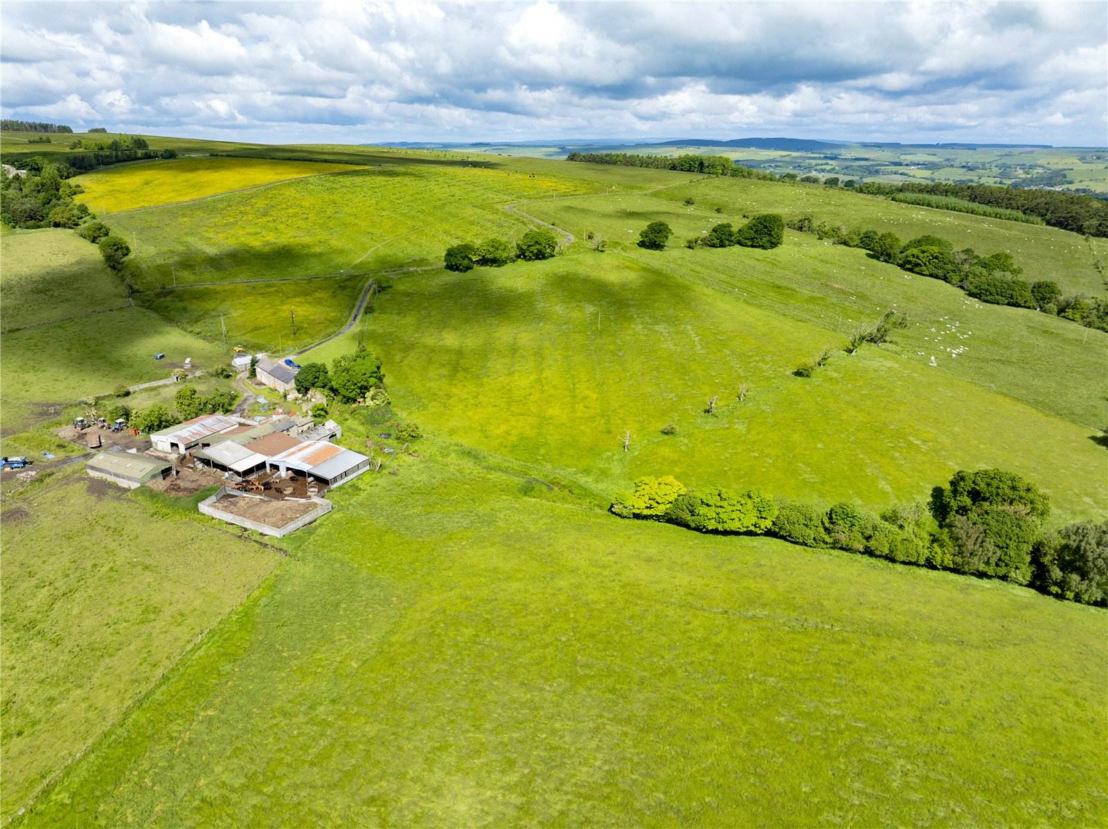 Midgeholme Farm